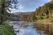 Along the Wye by David Tinsley