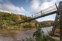 Biblins Suspension Bridge von David Tinsley