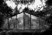 glasshouse von Schoo Flemming