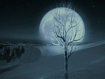 Silent Winter Evening  von David Dehner