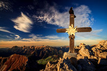 a bird on a cross by Zoltan Duray