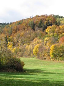 Herbstlicher Wald von Heike Rau