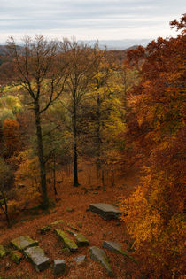 Blick aus dem Luitpoldturm von Walter Layher