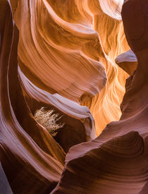 Antelope Canyon Navajo Tribal Park, Page, Arizona by Tom Dempsey