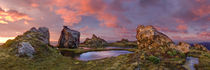 Hump Ridge sunrise, Fiordland NP, New Zealand von Tom Dempsey