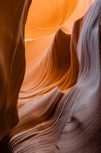 Lower Antelope Canyon, Page, Arizona, USA by Tom Dempsey