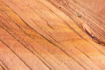 Navajo Sandstone line pattern, Vermilion Cliffs von Tom Dempsey