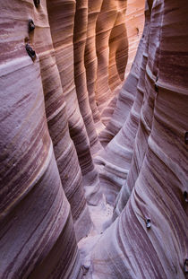 Zebra Slot Canyon, Grand Staircase Escalante, Utah by Tom Dempsey