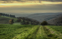 Taunusberge II by Erhard Hess