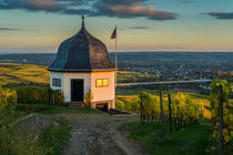 Weinbergshaus Kloster Eberbach von Erhard Hess