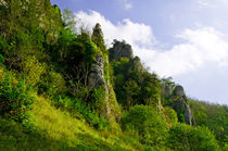 Tissington Spires von Rod Johnson