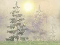 American Goldfinch Morning Mist von David Dehner