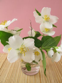 Blühender Sommerjasmin in einer Vase by Heike Rau