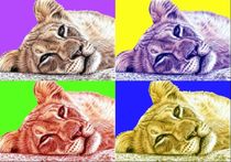 Löwen PopArt - Lions PopArt von Nicole Zeug