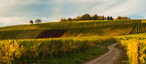 Pano Bubenhäuser Höhe von Erhard Hess