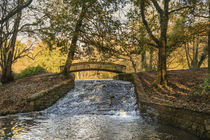 Autumn Brook by David Tinsley