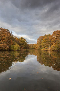 Autumn Ponds - 3 von David Tinsley