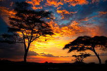 Sunset in the Serengueti von Víctor Bautista