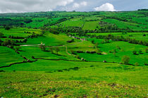 South West from Thorpe Cloud Summit by Rod Johnson