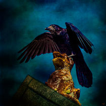The Crow von Chris Lord