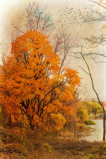 Idyllic Autumn von Chris Lord