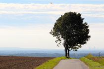 HERBSTZEIT von Ivonne Wentzler