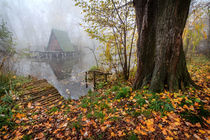 Cottage on the water in autumn by Zoltan Duray