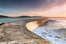 Sunkissed Cobb at Lyme Regis von Chris Frost