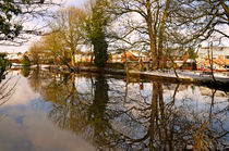 Trees Beside The Wintry Rolleston Pond von Rod Johnson