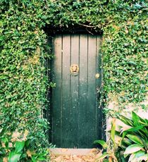 The Green Door von O.L.Sanders Photography