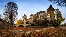 Vajdahunyad Castle von Zoltan Duray