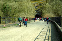 Monsal Trail Over the Headstone Viaduct von Rod Johnson