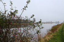 Hagebutten im Nebelland - Rosehip in the mist country von ropo13