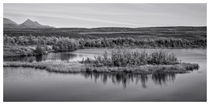 Tundra pond reflections von Priska  Wettstein