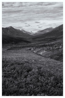 Tundra Valley von Priska  Wettstein