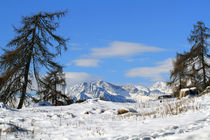 Winterlandschaft by jaybe