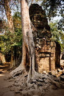 Ta Prohm I by Tom Hanslien