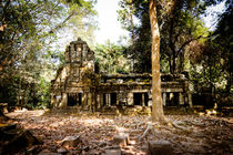 Ta Prohm II by Tom Hanslien