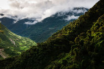 The "Cloud Forest". by Tom Hanslien