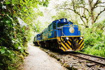 Train to Machu Picchu. von Tom Hanslien