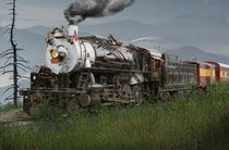Smokey Mountain Railway Steam Locomotive von Randall Nyhof