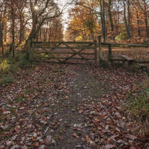 Over the Stile by David Tinsley