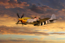 P-51 Ferocious Frankie by James Biggadike