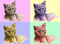 Kätzchen PopArt - Kitten PopArt von Nicole Zeug