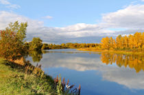 Autumn background by larisa-koshkina