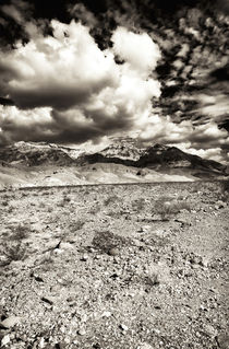 Desert Clouds von John Rizzuto