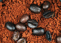 Java Grinds von John Rizzuto