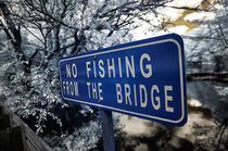 No Fishing From the Bridge von John Rizzuto