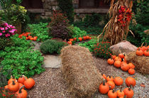 Autumn Festival in the Skylands von John Rizzuto