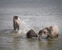 Bathing... by Henri Ton